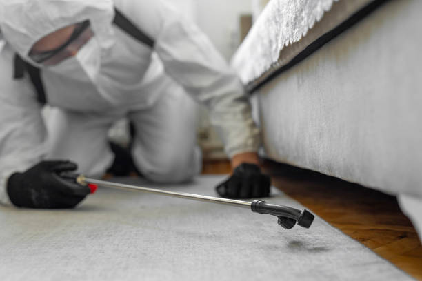 Professional Bed Bug Control technician working in Herald, CA
