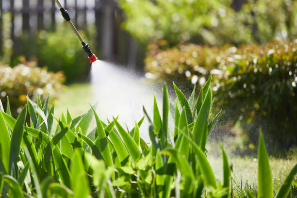 24/7 Emergency Bed Bug Control experts in Herald, CA